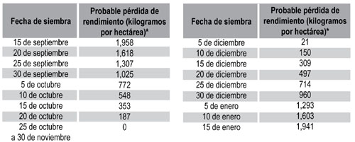 *Sobre una base de producción de 10 toneladas por hectarea.