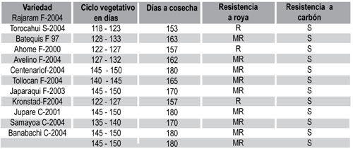 Nota: Todos estos datos pueden variar significativamente de acuerdo al manejo agronómico que se le dé al trigo y por las condiciones de clima durante su desarrollo.