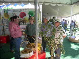 Los productores comentaron sus inquietudes con René Jiovanni López Carranza, Presidente del Consejo Consultivo de la zona norte de Fundación Produce Sinaloa, A.C. Los productores comentaron sus inquietudes con René Jiovanni López Carranza, Presidente del Consejo Consultivo de la zona norte de Fundación Produce Sinaloa, A.C.