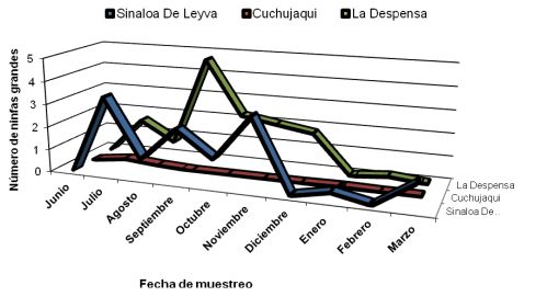 Figura 2. Número promedio de ninfas grandes de Diaphorina citri en brotes tiernos de limón mexicano, en tres huertas del norte de Sinaloa.