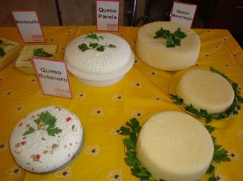 Productos lácteos elaborados por los asistentes al taller.